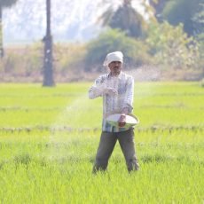 Parable of the Sower in Bible