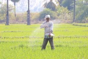 Parable of the Sower in Bible