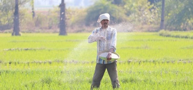 The Parable of the Sower